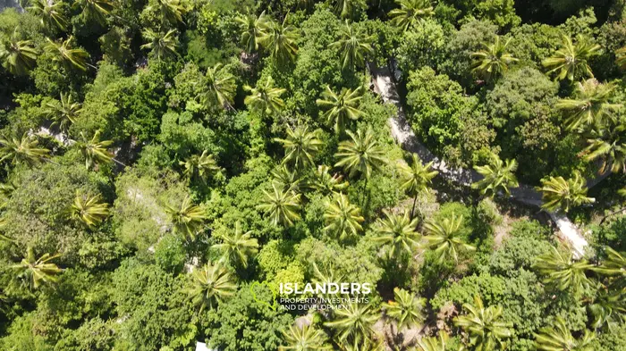 ที่ดินให้เช่าสำหรับขายในเกาะเต่า สายรี - วิวป่า 510 ตร.ม.