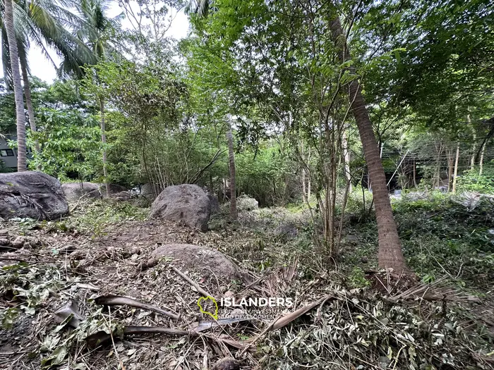 Leasehold Land for Sale in Koh Tao, Sairee - 546 sqm with Jungle View