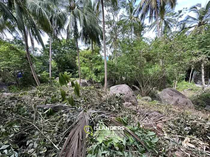 Leasehold Land for Sale in Paradise - Jungle View in Koh Tao, Sairee