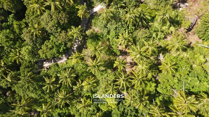 Leasehold Land for Sale in Paradise - Jungle View in Koh Tao, Sairee