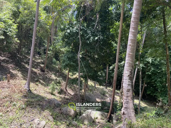 🌴 Sea View Land for Sale in Baan Kai — Rare Opportunity