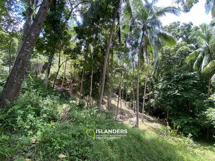 🌴 Sea View Land for Sale in Baan Kai — Rare Opportunity