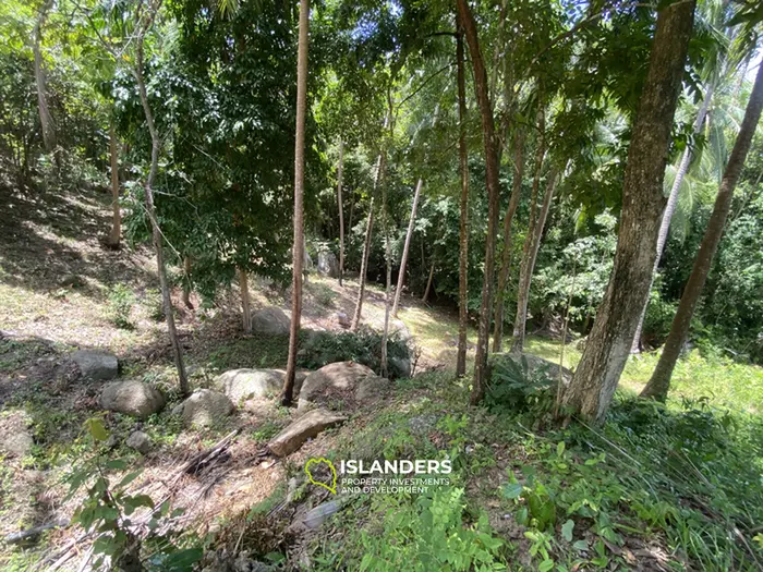 🌴 Sea View Land for Sale in Baan Kai — Rare Opportunity