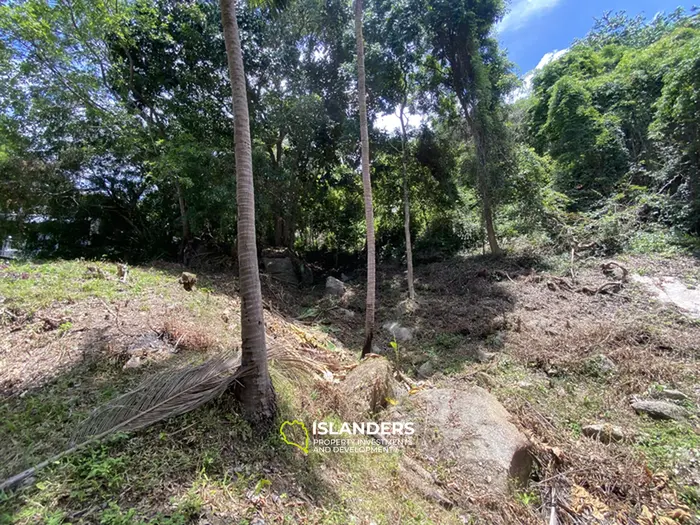 🌴 Sea View Land for Sale in Baan Kai — Rare Opportunity