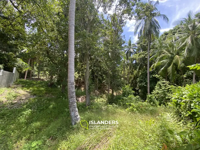 🌴 Sea View Land for Sale in Baan Kai — Rare Opportunity