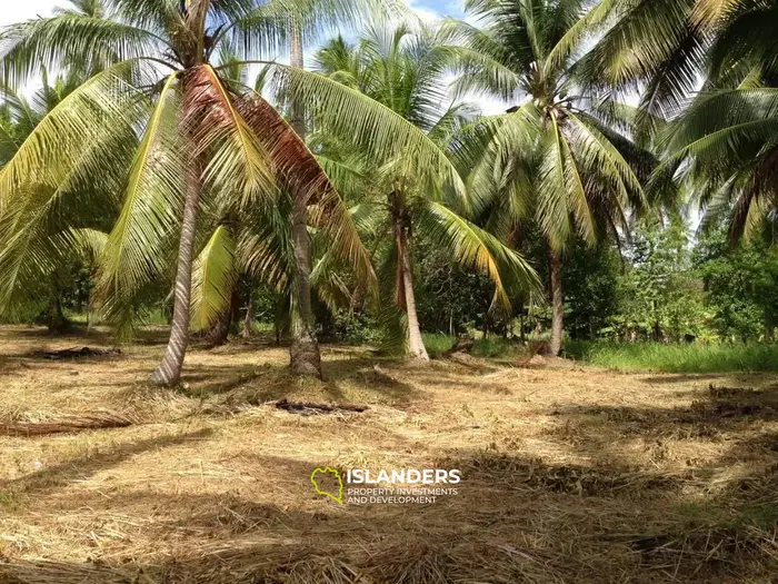 Prime West Coast Land Opportunity