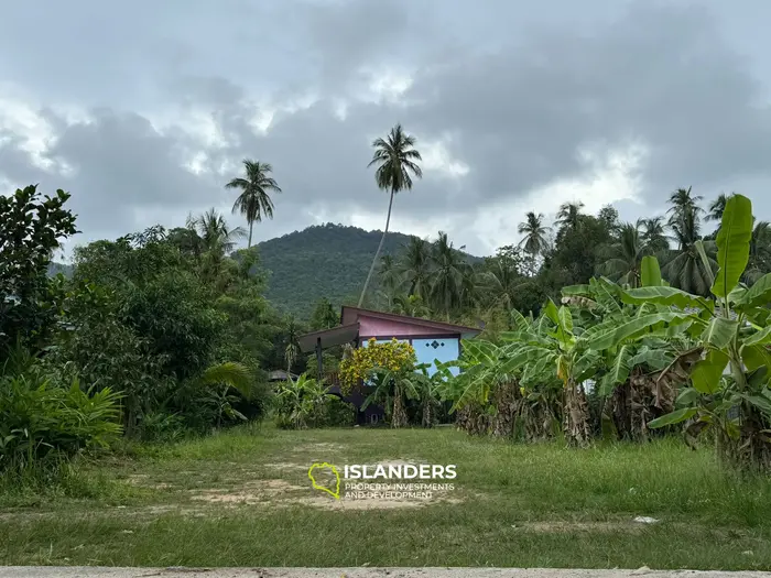 📣 Land and Thai-Style Houses for Sale – Koh Phangan