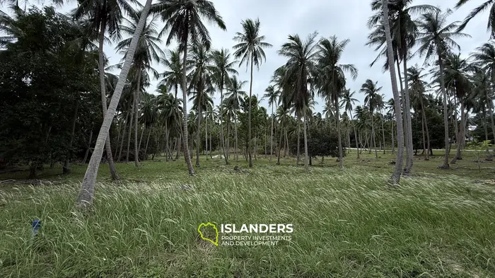 Prime Leasehold Land for Lease in Koh Phangan - Stunning Mountain Views 🌄