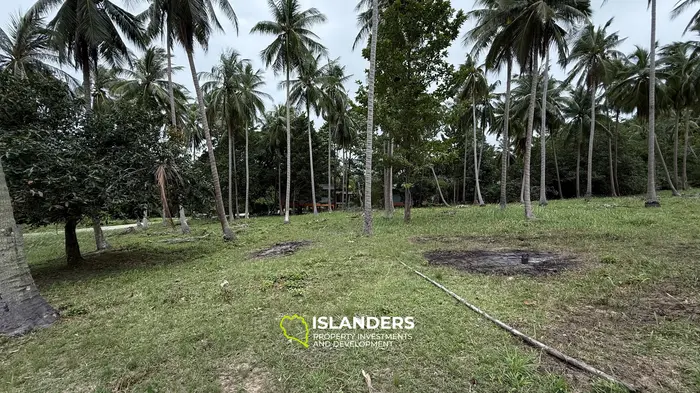 Prime Leasehold Land for Lease in Koh Phangan - Stunning Mountain Views 🌄