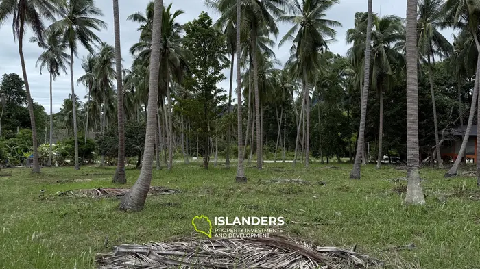 Prime Leasehold Land for Lease in Koh Phangan - Stunning Mountain Views 🌄