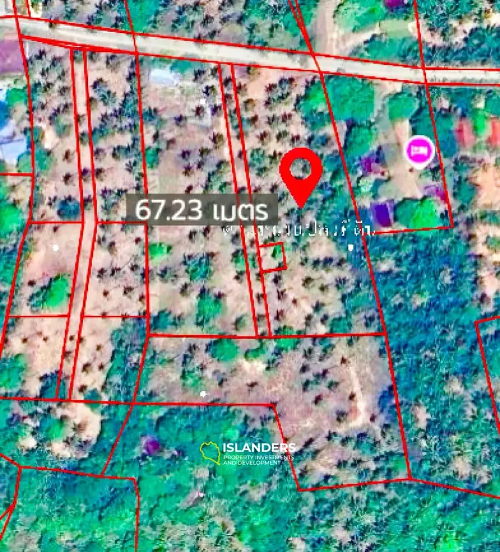 Prime Leasehold Land for Lease in Koh Phangan - Stunning Mountain Views 🌄