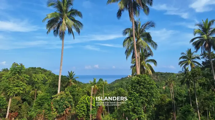 أرض مطلة على البحر الرئيسية فوق هاد سالاد