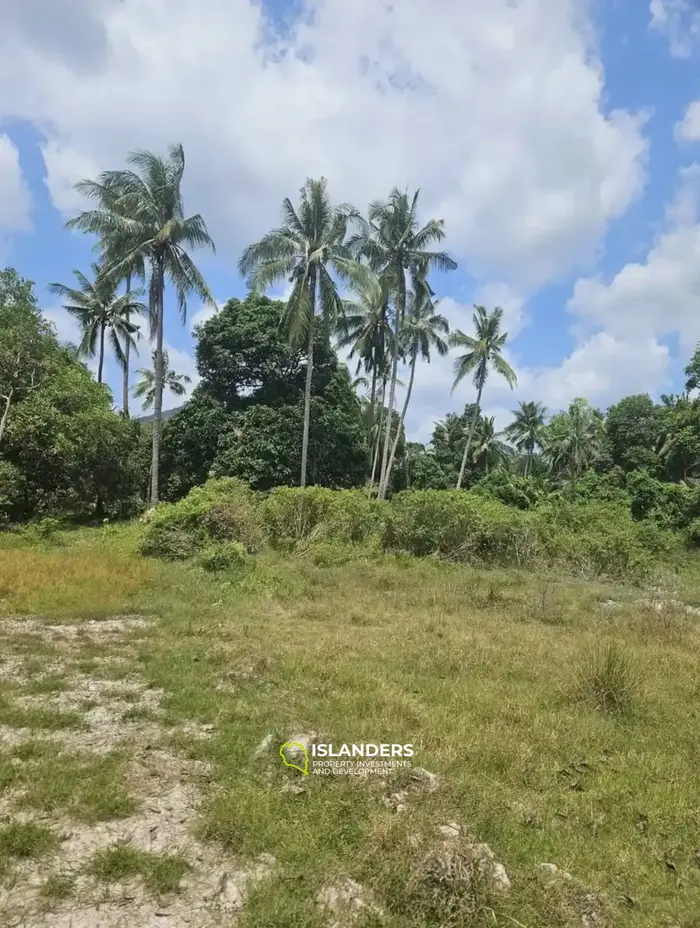 Exclusive Land for Sale with Breathtaking Mountain Views in Koh Phangan
