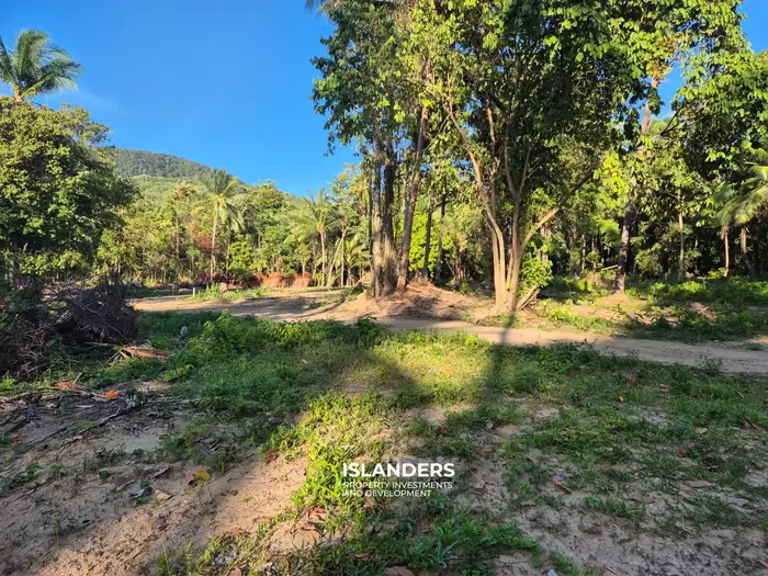 Exquisite Land for Sale in Koh Phangan - Embrace Nature's Beauty