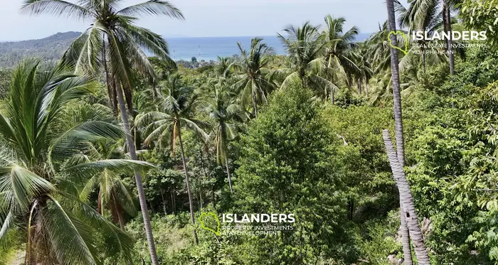 Prime Land with Stunning Sea View in Chaloklum, Koh Phangan