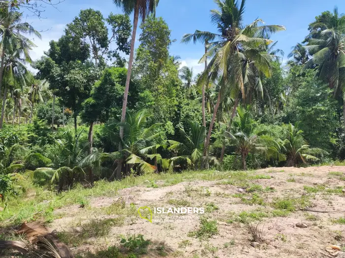 Участок земли на Coconut Lane с видом на горы на Кох Пхангане
