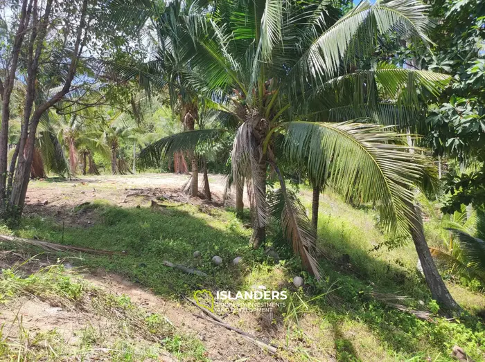 Участок земли на Coconut Lane с видом на горы на Кох Пхангане