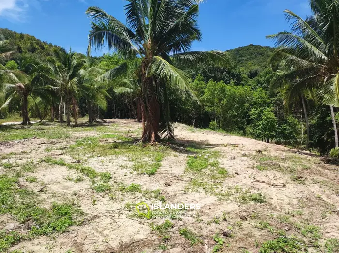 Участок земли на Coconut Lane с видом на горы на Кох Пхангане
