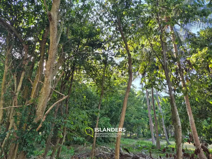 コ・パンガンの素晴らしいジャングルビューの土地