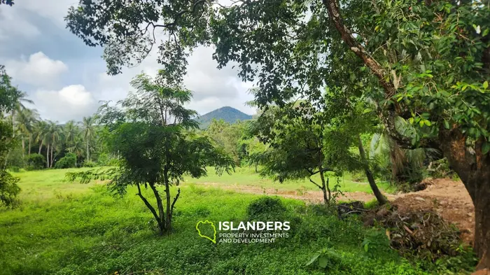Terrain exclusif à vendre à Koh Phangan, Hinkong