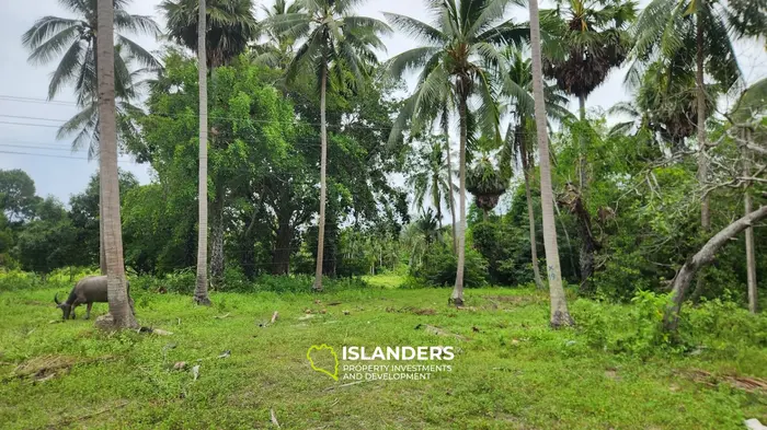 Exclusive Land for Sale in Koh Phangan, Hinkong