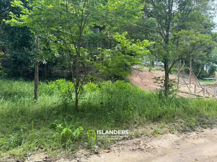 Exclusive Land for Sale in Koh Phangan - Embrace Nature's Serenity