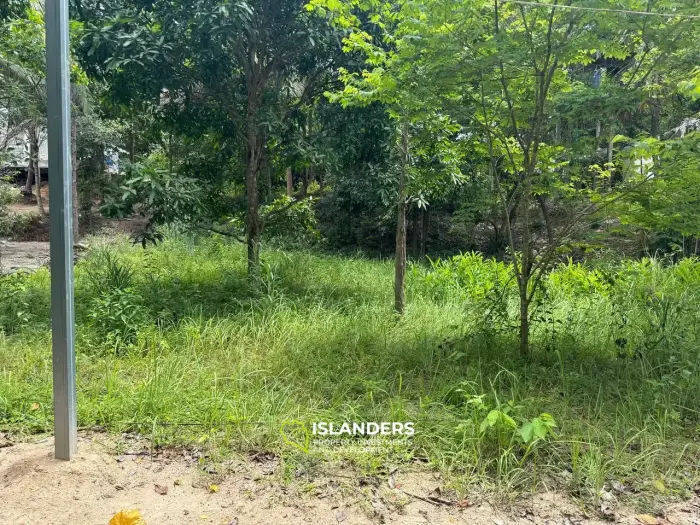 Exclusive Land for Sale in Koh Phangan - Embrace Nature's Serenity