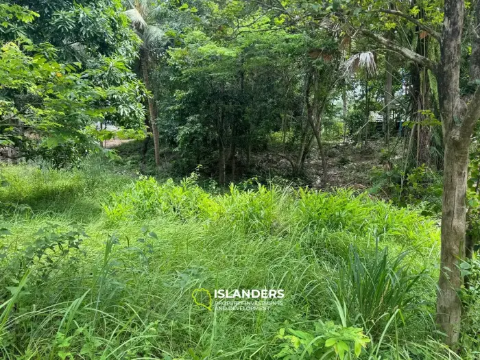 Exclusive Land for Sale in Koh Phangan - Embrace Nature's Serenity