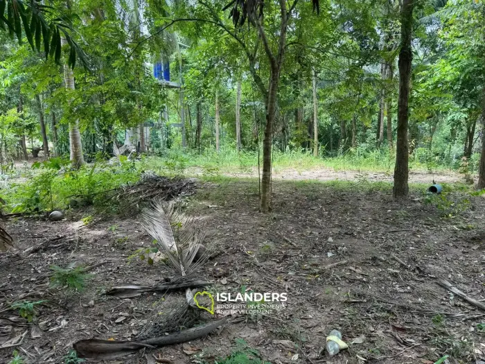 Exclusive Land for Sale in Koh Phangan - Embrace Nature's Serenity