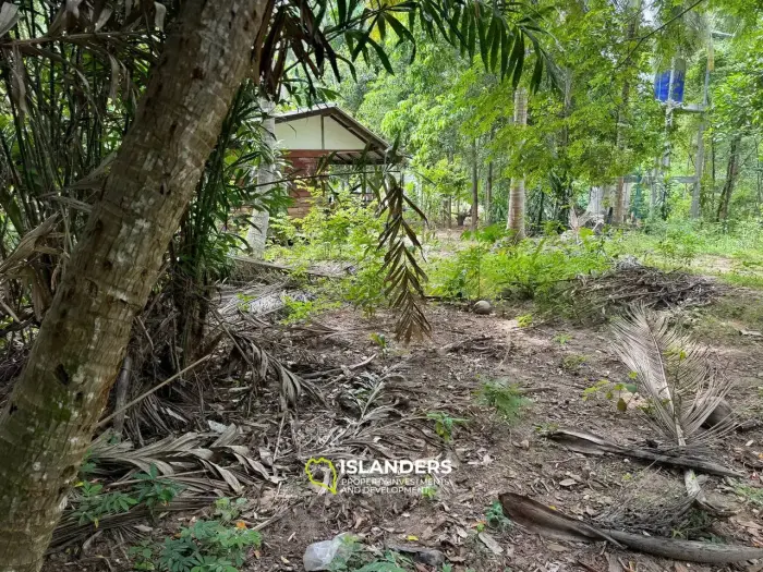 Exclusive Land for Sale in Koh Phangan - Embrace Nature's Serenity