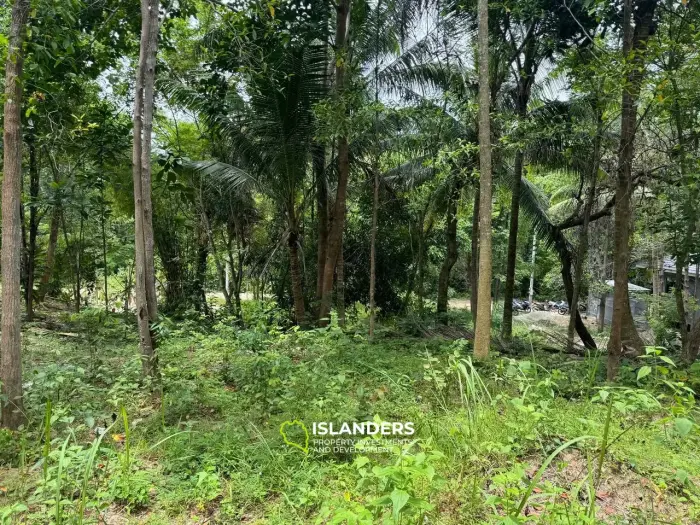 Exclusive Land for Sale in Koh Phangan - Embrace Nature's Serenity