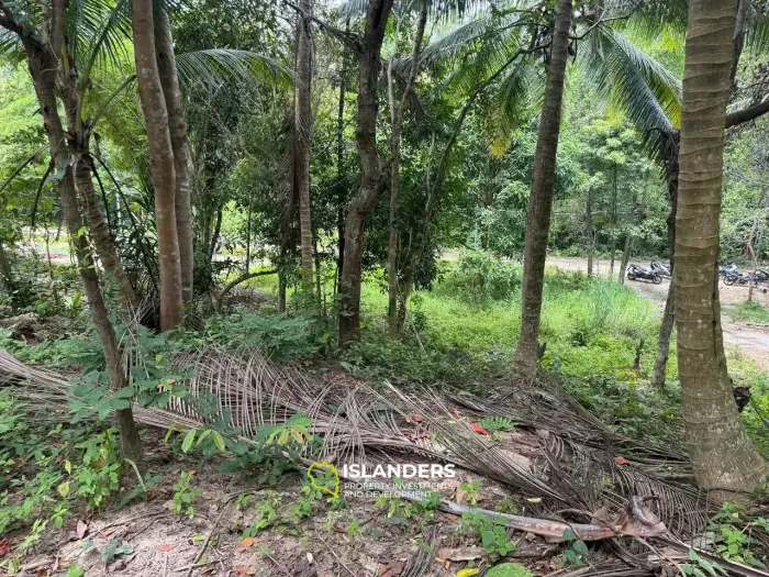 Exclusive Land for Sale in Koh Phangan - Embrace Nature's Serenity