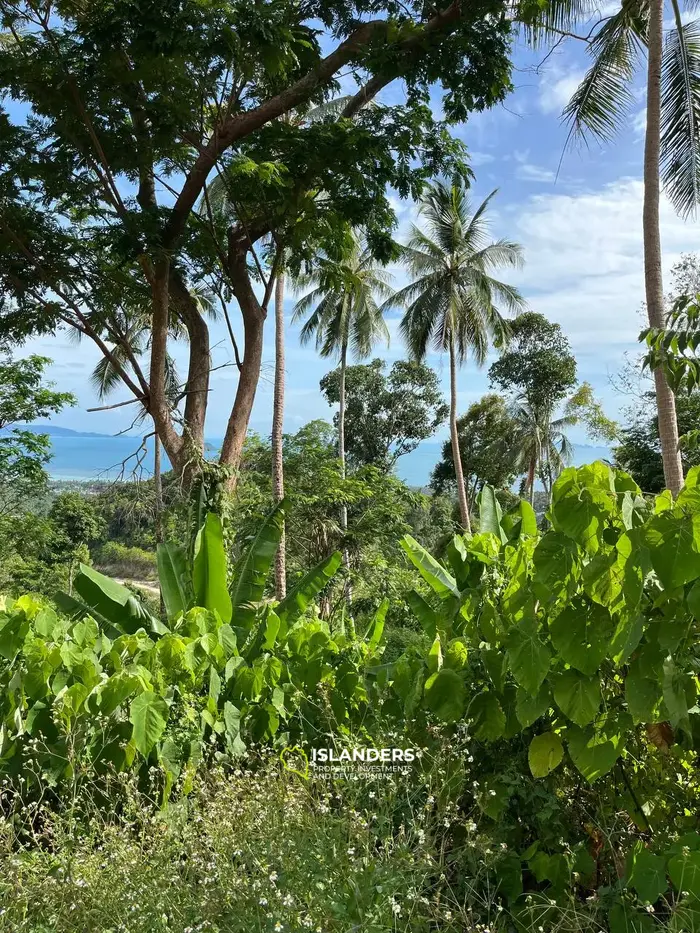 Exquisite Sea View Land in Haad Yao, Koh Phangan