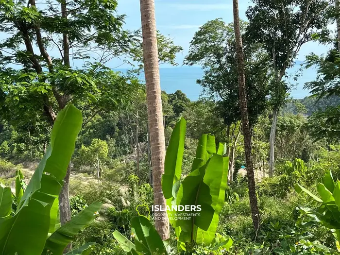 Exquisite Sea View Land in Haad Yao, Koh Phangan