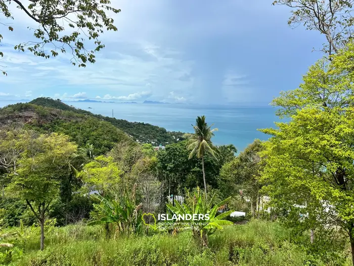 Erstaunliches Haad Yao Seaview Grundstück
