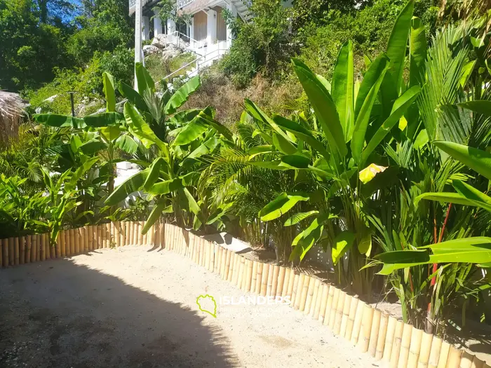 Работающий бизнес в центре Сритаану