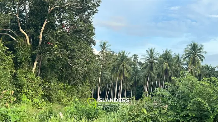 נכס עם נוף הרים מדהים להשכרה בהינקונג, קו פנגאן