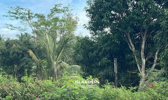 נכס עם נוף הרים מדהים להשכרה בהינקונג, קו פנגאן