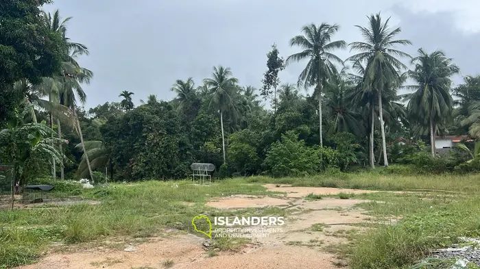 ที่ดินสวยให้เช่าในหินกอง, เกาะพะงัน