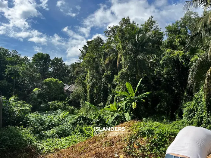 Charming plot next to a river – 3.5 million THB