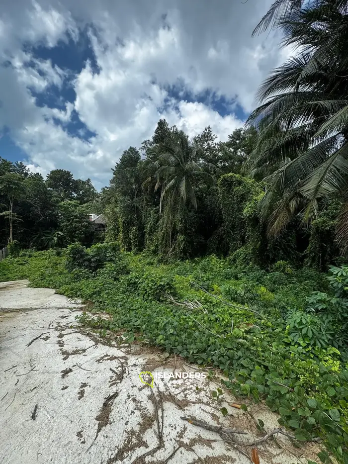 Charming plot next to a river – 3.5 million THB