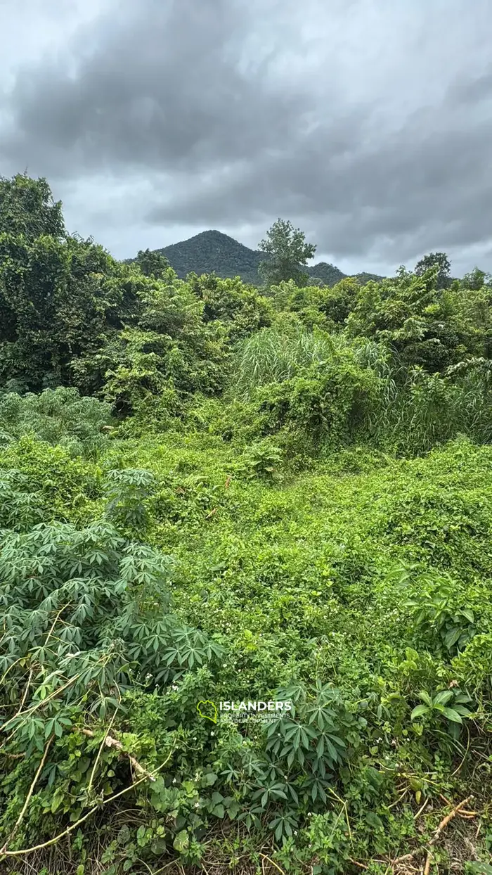 Charming plot next to a river – 3.5 million THB