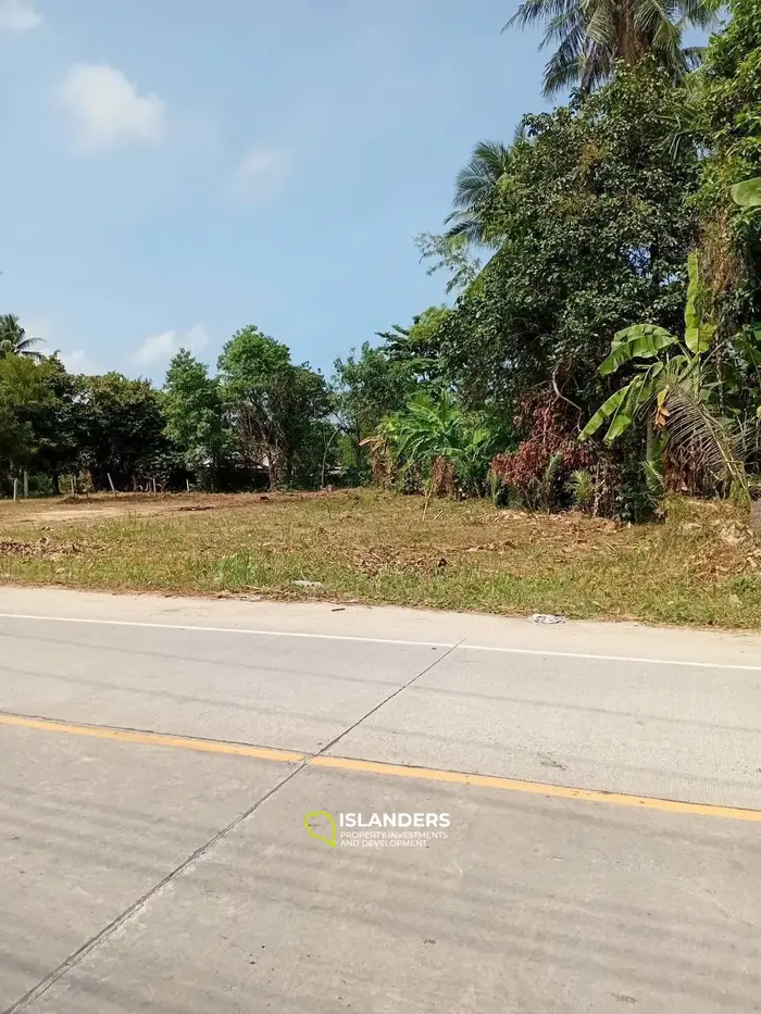 हिंकांग, कोह फंगन में लीज के लिए शानदार जंगल दृश्य भूमि