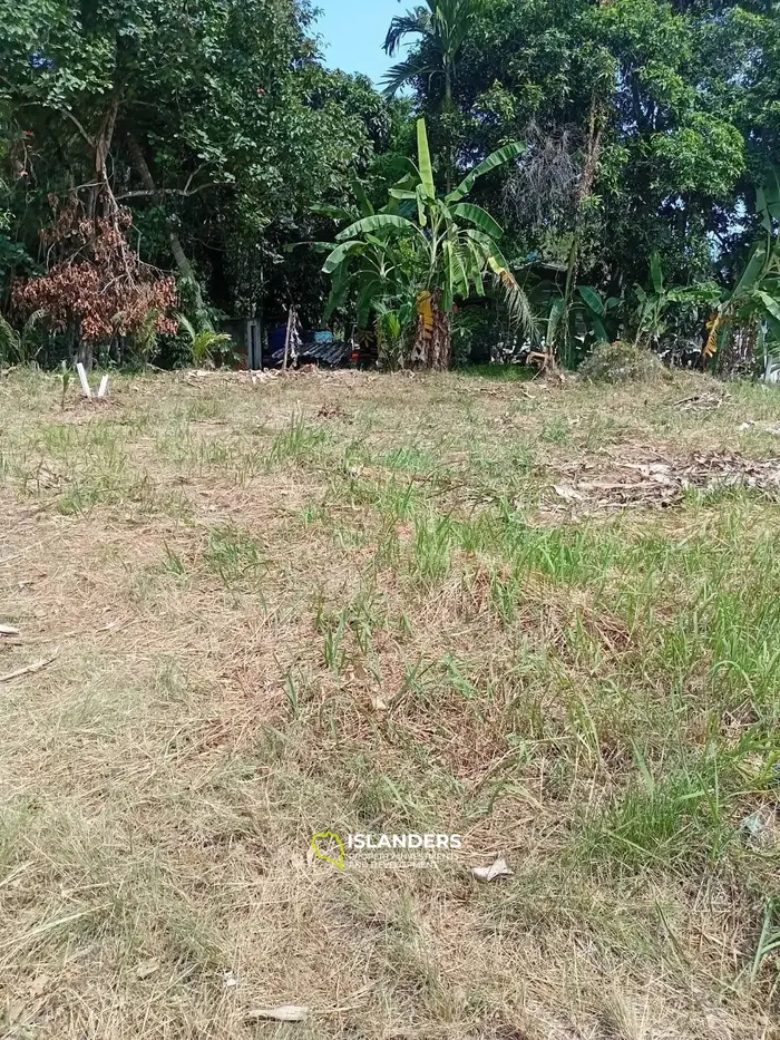 हिंकांग, कोह फंगन में लीज के लिए शानदार जंगल दृश्य भूमि