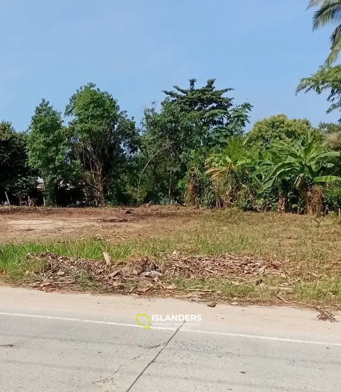 ที่ดินวิวป่าที่น่าทึ่งให้เช่าในหินกอง, เกาะพะงัน