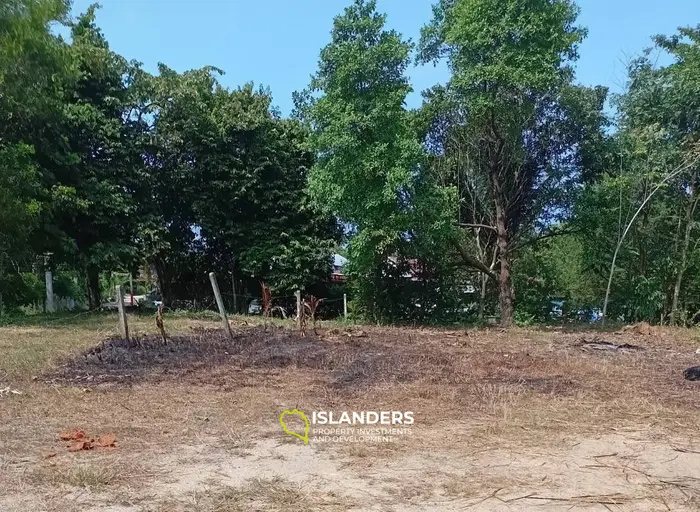 हिंकांग, कोह फंगन में लीज के लिए शानदार जंगल दृश्य भूमि