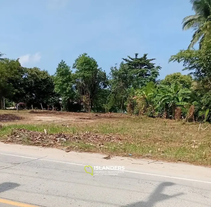 हिंकांग, कोह फंगन में लीज के लिए शानदार जंगल दृश्य भूमि