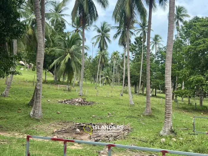 Bail de terrain exquis avec vue sur la montagne à Koh Phangan, Hinkong