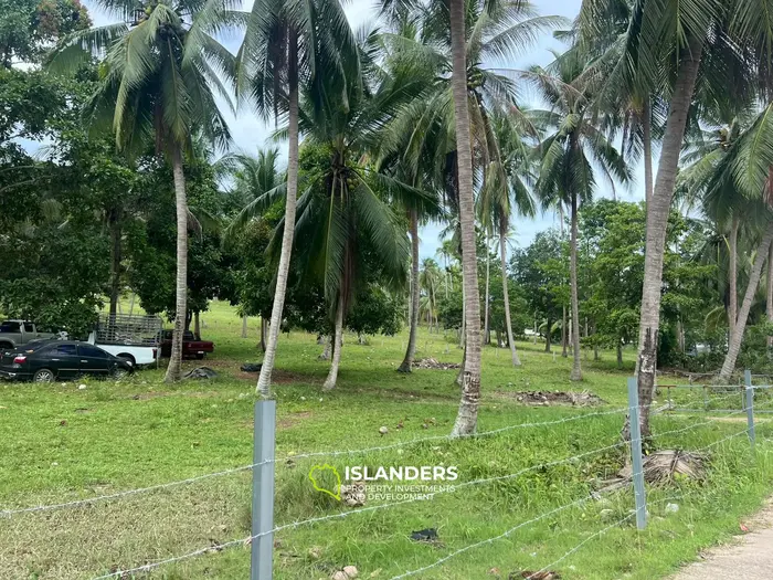 Bail de terrain exquis avec vue sur la montagne à Koh Phangan, Hinkong