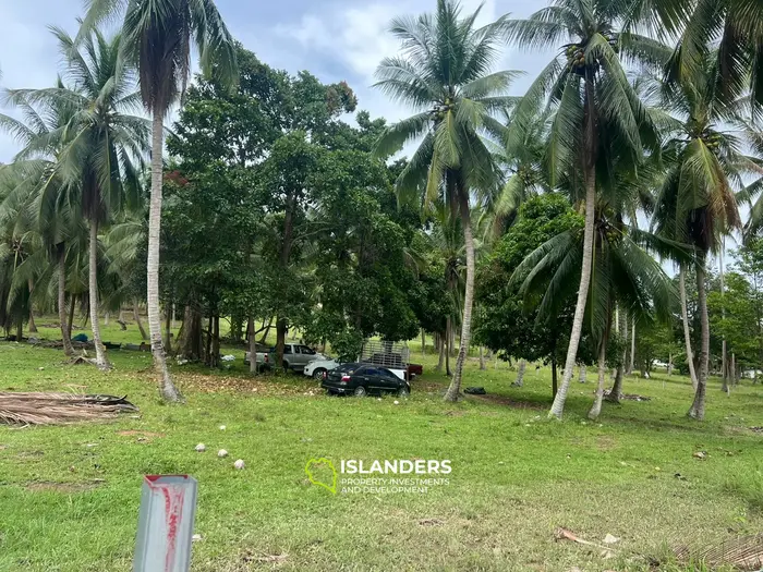 Bail de terrain exquis avec vue sur la montagne à Koh Phangan, Hinkong